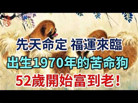 1970 屬狗 五行 缺什麼|屬狗人必看：1970五行解析